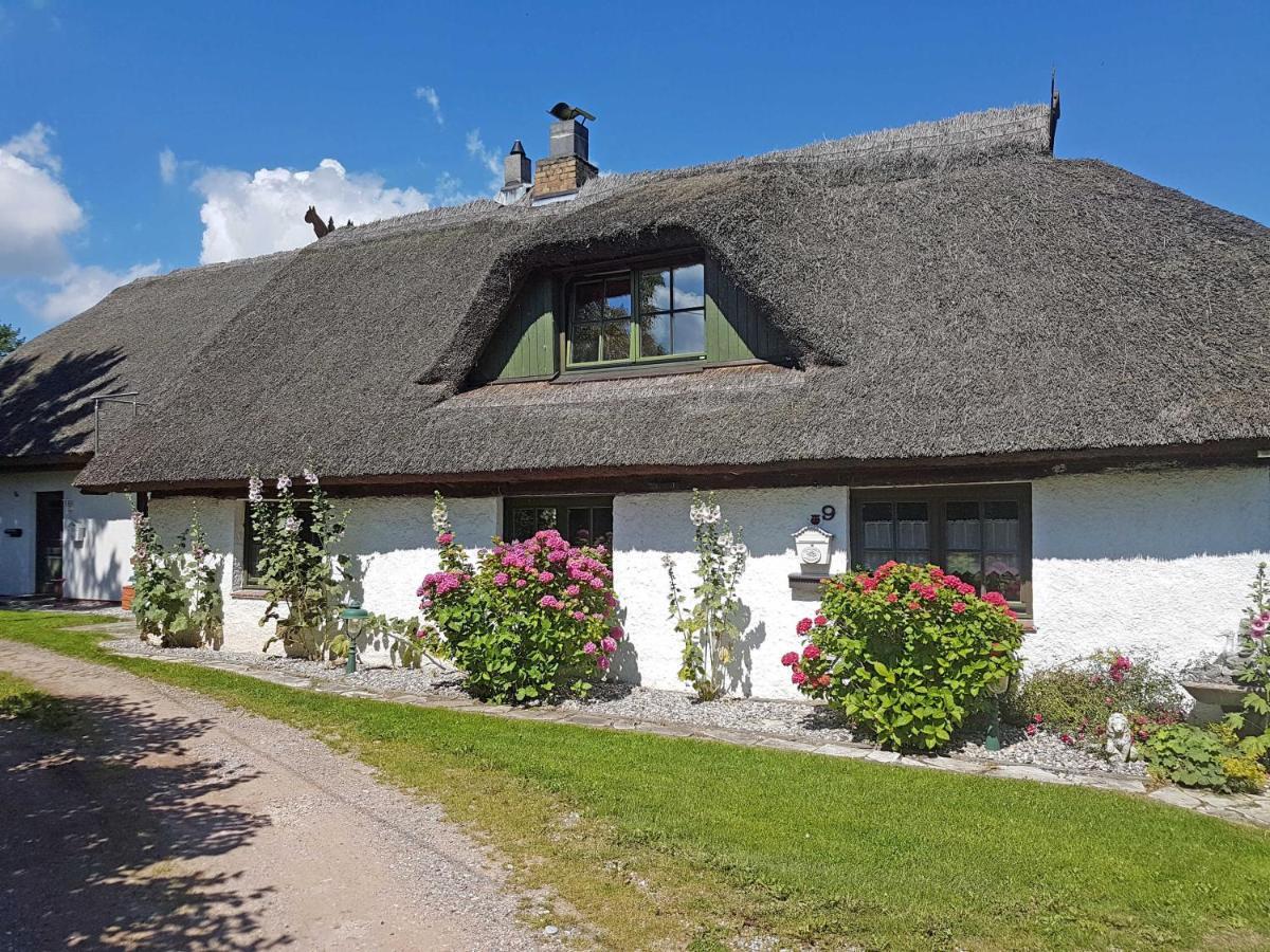Ferienhaus und -wohnung unterm Reetdach in Woorke Patzig Exterior foto