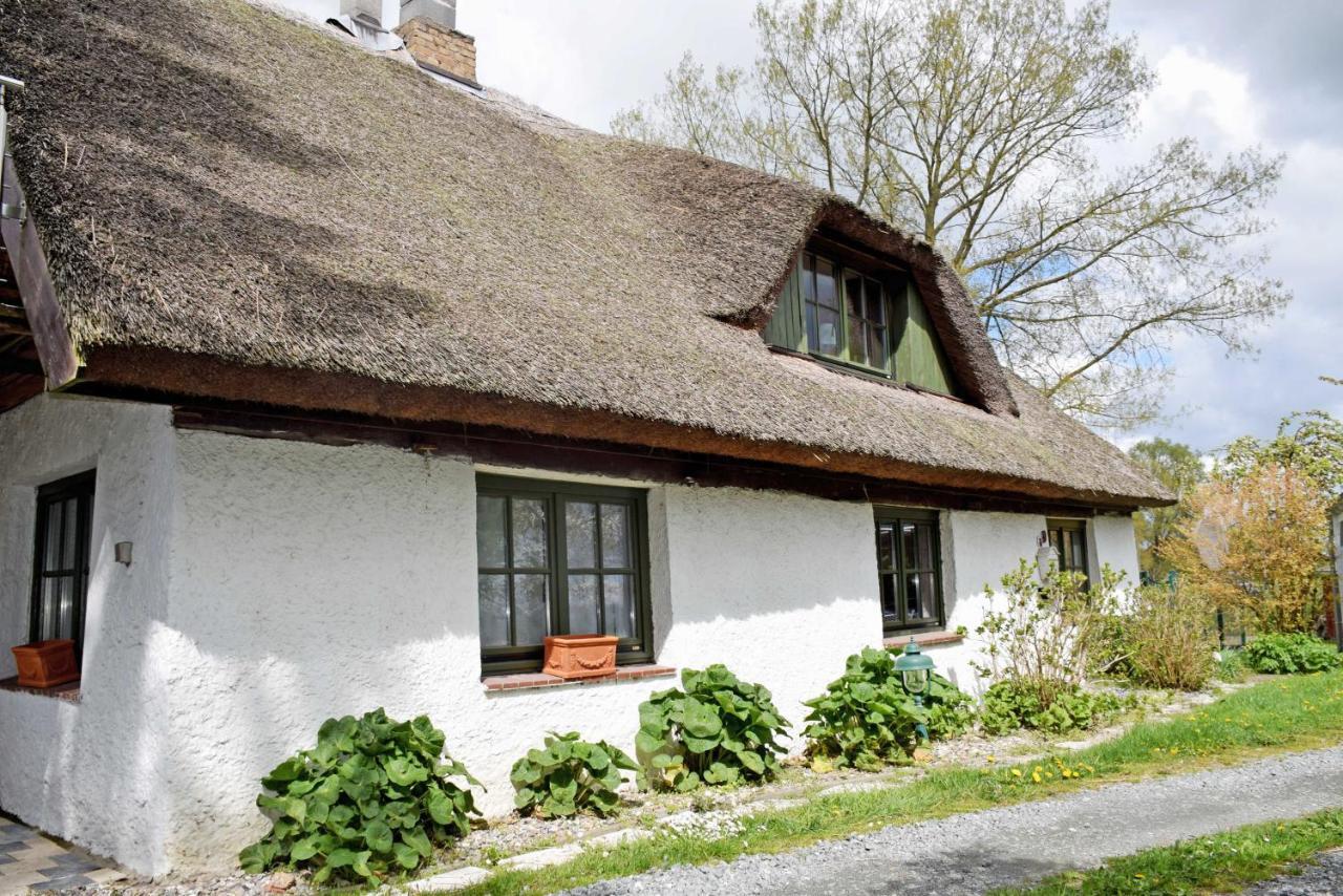 Ferienhaus und -wohnung unterm Reetdach in Woorke Patzig Exterior foto