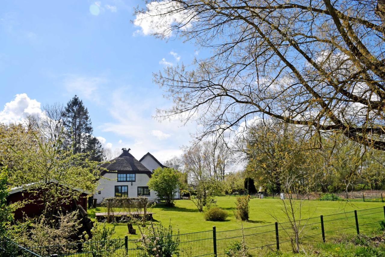 Ferienhaus und -wohnung unterm Reetdach in Woorke Patzig Exterior foto